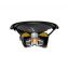 Pioneer TS-W32D4 subwoofer